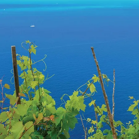 Lägenhet Stunning In With Wifi Broce